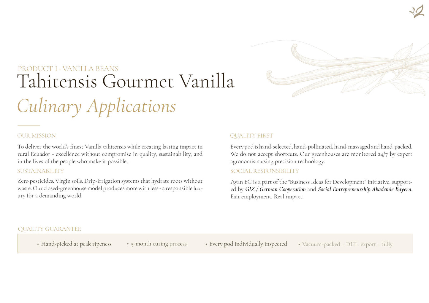 Vanilleschote Golden Selection Typ A Premiumqualität